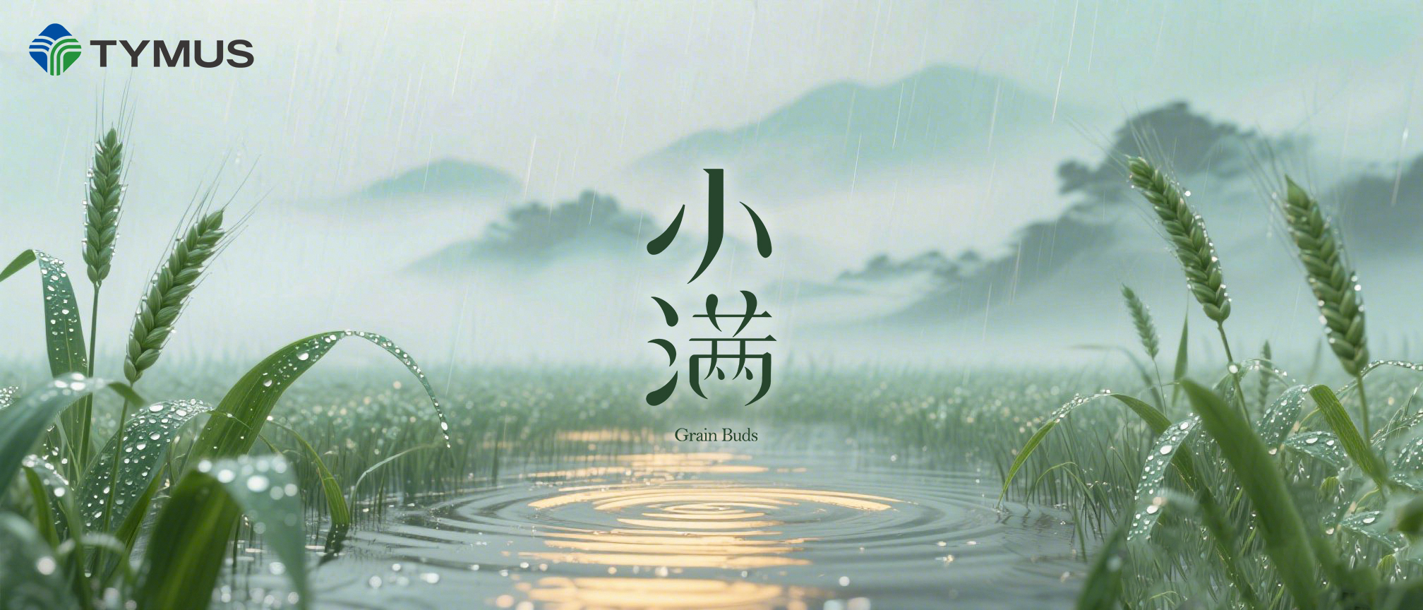 Xiaomanとは何ですか？